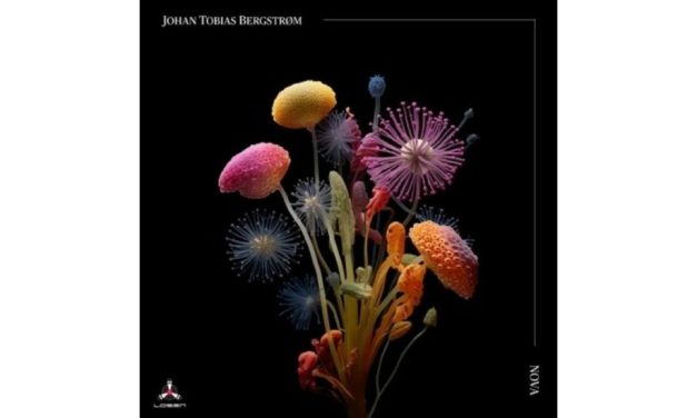 Johan Tobias Bergstrøm – Nova