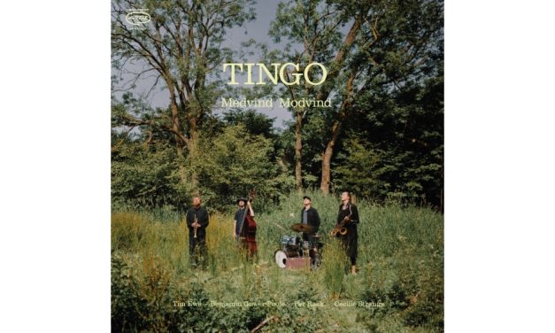 TINGO – Medvind Modvind